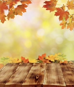 Fall-Background